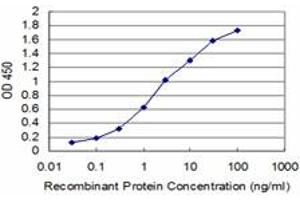 Detection limit for recombinant GST tagged MIB2 is approximately 0. (MIB2 antibody  (AA 381-480))