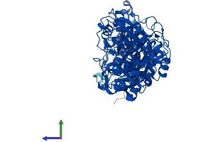 Protein Structure (PS) image for Transketolase-Like 2 (TKTL2) (AA 1-627) protein (His tag) (ABIN7560985)