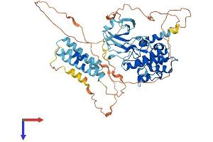 Ribosomal Protein S6 Kinase-Like 1 (RPS6KL1) (AA 1-549) protein (His tag)