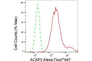 Flow cytometric analysis of ACAP2 expression in HT- cells using ACAP2 antibody (ABIN7797642), 1:2,000). (Recombinant Centaurin beta 2 antibody)