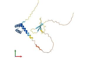 AlphaFold protein structure predicition of Human Recombinant DPRX Protein, UniprotID A6NFQ7 (DPRX Protein (AA 1-191) (His tag))