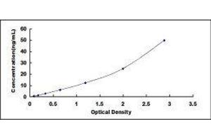 ELISA image for Dermcidin (DCD) ELISA Kit (ABIN415209)