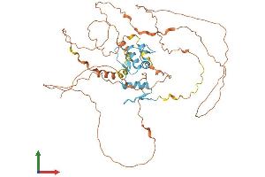 AlphaFold protein structure predicition of Mouse Recombinant Klf4 Protein, UniprotID Q60793 (KLF4 Protein (AA 1-483) (His tag))