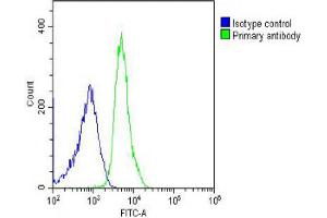 Overlay histogram showing U-2OS cells stained with Antibody (green line). (HRPT2 antibody  (AA 132-161))
