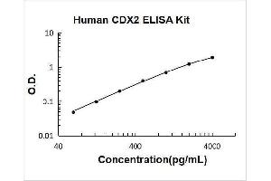 Typical Standard Curve