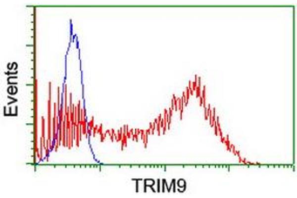 TRIM9 antibody  (AA 284-669)