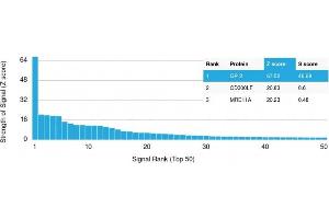 Analysis of Protein Array containing more than 19,000 full-length human proteins using GP2 Mouse Monoclonal Antibody (GP2/1803) Z- and S- Score: The Z-score represents the strength of a signal that a monoclonal antibody (Monoclonal Antibody) (in combination with a fluorescently-tagged anti-IgG secondary antibody) produces when binding to a particular protein on the HuProtTM array. (GP2 antibody  (AA 35-179))