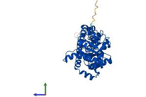 AlphaFold protein structure predicition of Mouse Recombinant Taldo1 Protein, UniprotID Q93092