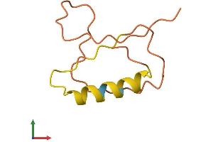 AlphaFold protein structure predicition of Human Recombinant CASC2 Protein, UniprotID Q8IU53 (CASC2 Protein (AA 1-76) (Fc Tag))