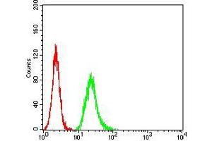 Flow cytometric analysis of Hela cells using NS1 mouse mAb (green) and negative control (red). (NS1 (AA 1-216) antibody)