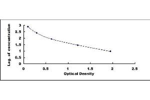 Typical standard curve (Enkephalin ELISA Kit)