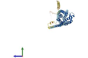 AlphaFold protein structure predicition of Mouse Recombinant Npsr1 Protein, UniprotID Q8BZP8 (NPSR1 Protein (AA 1-371) (His tag))