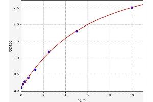 CD43 ELISA Kit