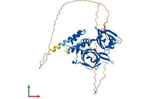 AlphaFold protein structure predicition of Mouse Recombinant Ifi205a Protein, UniprotID Q8CGE8 (Ifi205 Protein (AA 1-404) (His tag))
