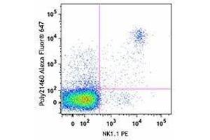 Flow Cytometry (FACS) image for anti-Asialo-GM1 antibody (Alexa Fluor 647) (ABIN2657115) (Asialo-GM1 antibody  (Alexa Fluor 647))