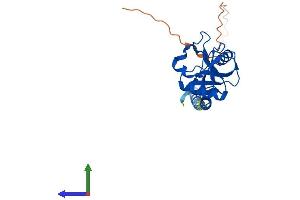 AlphaFold protein structure predicition of Mouse Recombinant Cd209a Protein, UniprotID Q91ZX1 (CD209a Antigen Protein (CD209A) (AA 1-238) (His tag))