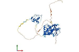 AlphaFold protein structure predicition of Mouse Recombinant Rarg Protein, UniprotID P18911
