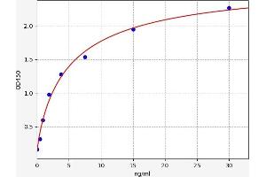 Typical standard curve (BNIP3L/NIX ELISA Kit)