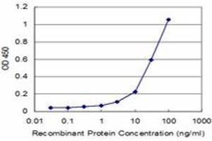 Detection limit for recombinant GST tagged CLIC3 is approximately 3ng/ml as a capture antibody. (CLIC3 antibody  (AA 137-236))