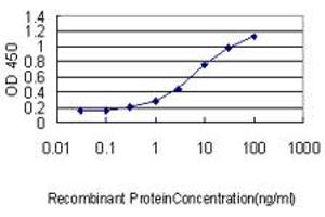 Detection limit for recombinant GST tagged MIF is approximately 0.