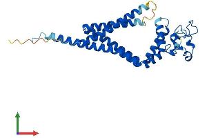 AlphaFold protein structure predicition of Human Recombinant TSPAN33 Protein, UniprotID Q86UF1