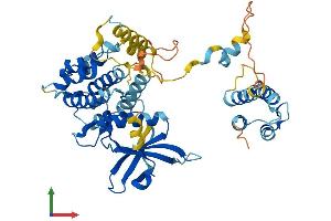 AlphaFold protein structure predicition of Mouse Recombinant Mapkapk5 Protein, UniprotID O54992 (MAPKAP Kinase 5 Protein (AA 1-473) (His tag))