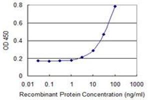 Detection limit for recombinant GST tagged NCKIPSD is 1 ng/ml as a capture antibody. (NCKIPSD antibody  (AA 1-99))