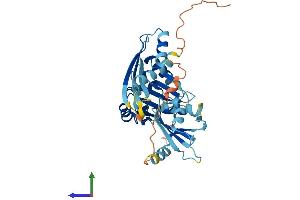 Protein Structure (PS) image for Dead End Homolog 1 (DND1) (AA 1-352) protein (His tag) (ABIN7558120)