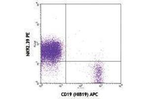 Flow Cytometry (FACS) image for anti-CD96 (CD96) antibody (PE) (ABIN2663660) (CD96 antibody  (PE))