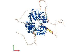 Protein Structure (PS) image for Ligase I, DNA, ATP-Dependent (LIG1) (AA 1-919) protein (His tag) (ABIN7547098)