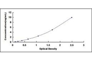 Typical standard curve (FGFR3 ELISA Kit)