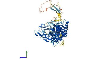 AlphaFold protein structure predicition of Human Recombinant PGBD3 Protein, UniprotID Q8N328 (PGBD3 Protein (AA 1-593) (His tag))