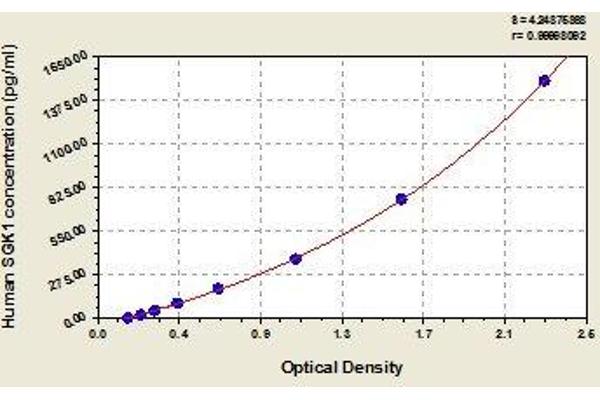 SGK1 ELISA Kit