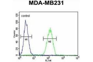 Flow cytometric analysis of MDA-MB231 cells using Oxytocin Antibody (Center) Cat. (Oxytocin antibody  (Middle Region))