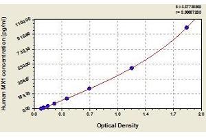 Typical standard curve (MX1 ELISA Kit)