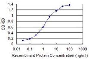 Detection limit for recombinant GST tagged ARFIP2 is 0. (ARFIP2 antibody  (AA 1-110))