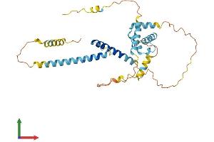 Protein Structure (PS) image for Stimulated By Retinoic Acid 8 (STRA8) (AA 1-330) protein (His tag) (ABIN7544038)