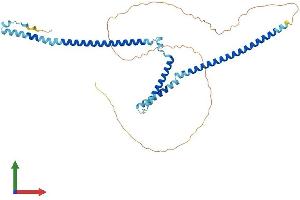 AlphaFold protein structure predicition of Human Recombinant WTAP Protein, UniprotID Q15007 (WTAP Protein (AA 1-396) (His tag))