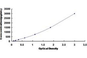 Typical standard curve (COL2A1 ELISA Kit)