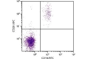 Human peripheral blood lymphocytes were stained with Mouse Anti-Human CD20-APC. (CD20 antibody  (APC))