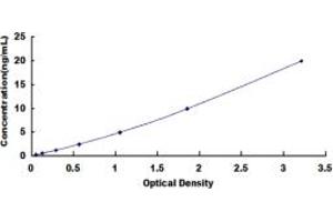 Typical standard curve (TXN ELISA Kit)