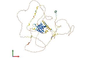 AlphaFold protein structure predicition of Mouse Recombinant Gab3 Protein, UniprotID Q8BSM5