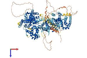AlphaFold protein structure predicition of Mouse Recombinant Tbc1d9b Protein, UniprotID Q5SVR0 (TBC1D9B Protein (AA 1-1263) (His tag))