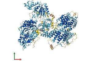 AlphaFold protein structure predicition of Human Recombinant ADCY10 Protein, UniprotID Q96PN6 (ADCY10 Protein (AA 1-1610) (His tag))