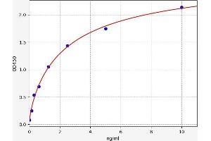 Chitinase 3-Like 4 ELISA Kit