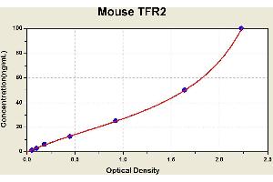 Diagramm of the ELISA kit to detect Mouse TFR2with the optical density on the x-axis and the concentration on the y-axis.