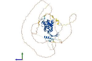 AlphaFold protein structure predicition of Mouse Recombinant Mbd4 Protein, UniprotID Q9Z2D7 (MBD4 Protein (AA 1-554) (His tag))