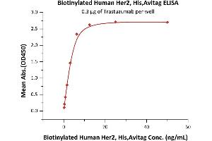Immobilized Trastuzumab at 3 μg/mL (100 μL/well) can bind Biotinylated Human Her2, His,Avitag (ABIN5954984,ABIN6253623) with a linear range of 0.
