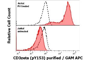 Anti-Hu CD3 zeta (pY153) purified antibody (clone EM-17) works in Flow Cytometry application Analysis of the antibody staining was performed on Jurkat cells treated or untreated with pervanadate (PV) prior to the fixation and permeabilization of cell suspension with cold methanol. (CD247 antibody  (Tyr153))