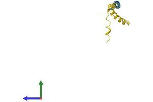 AlphaFold protein structure predicition of Human Recombinant SMLR1 Protein, UniprotID H3BR10 (SMLR1 Protein (AA 1-107) (His tag))